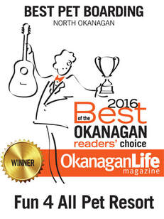 Voted best doggie daycare, dog groomer, and dog boarding in Vernon, BC and the Okanagan